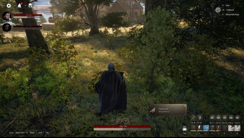 Bild:Pax Dei Alpha 2