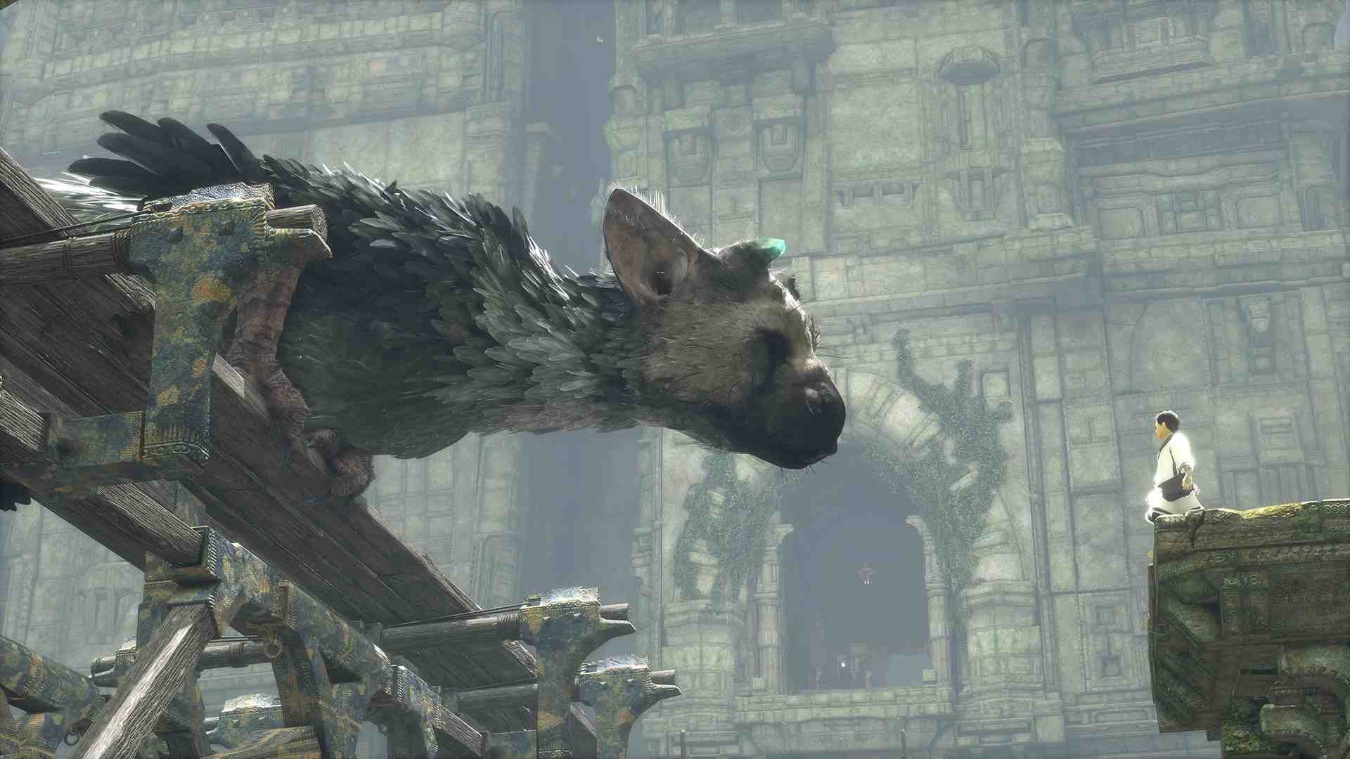 Bild:The Last Guardian - Das Warten hat ein Ende
