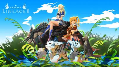 Bild:Fluffy reinforcement in Lineage 2 Essence
